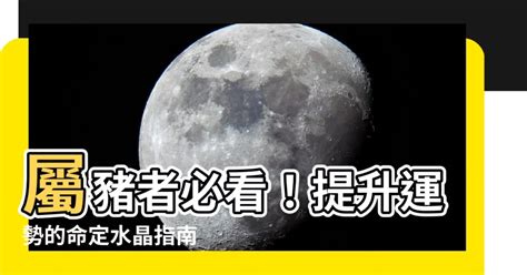 屬豬適合的生肖|屬豬適合什麼生肖？建立和諧人際關係的祕訣: 虎、兔、羊 